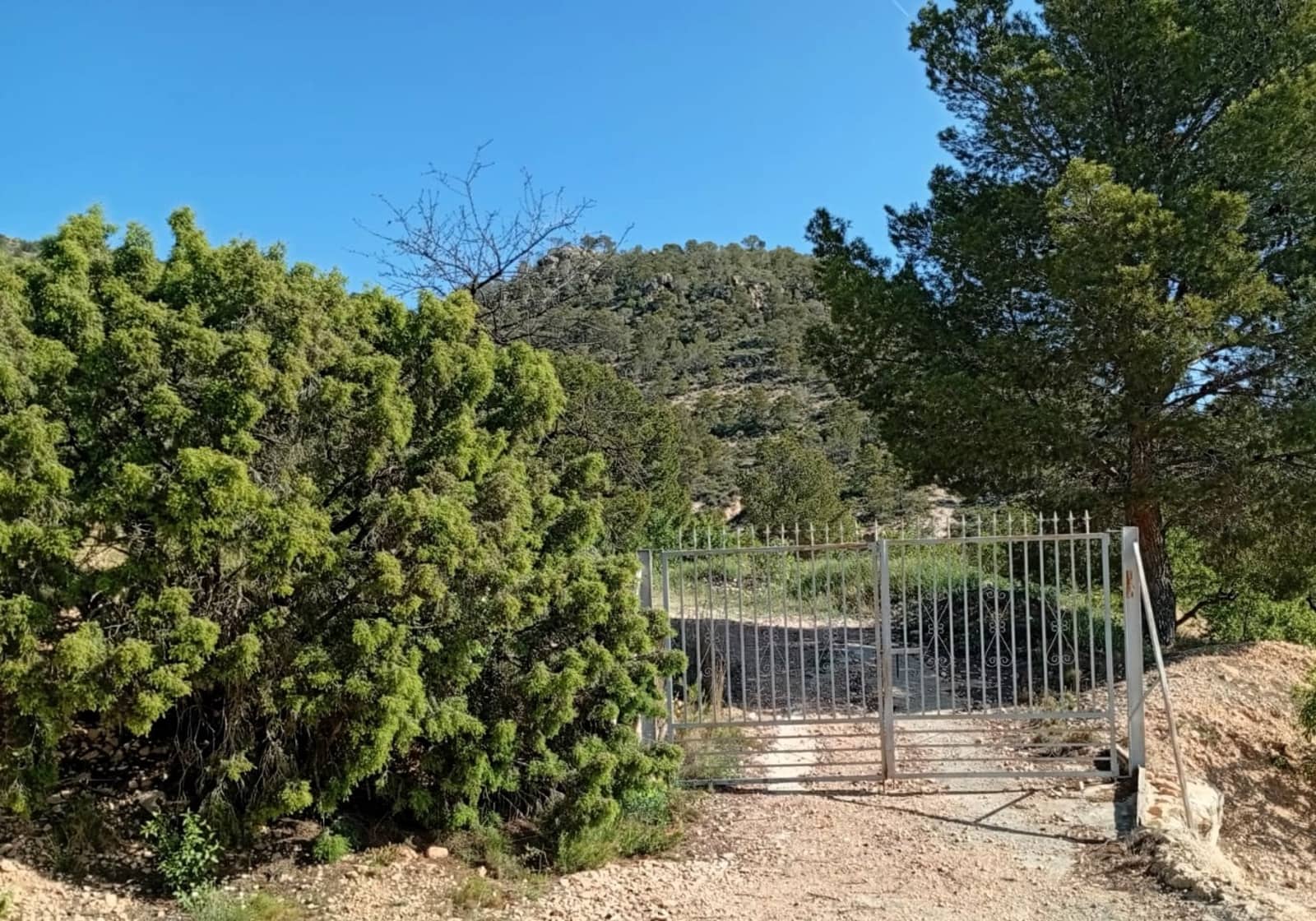2 bedroom Cave House for sale in Salinas - € 119,995 (Ref: 9847660)