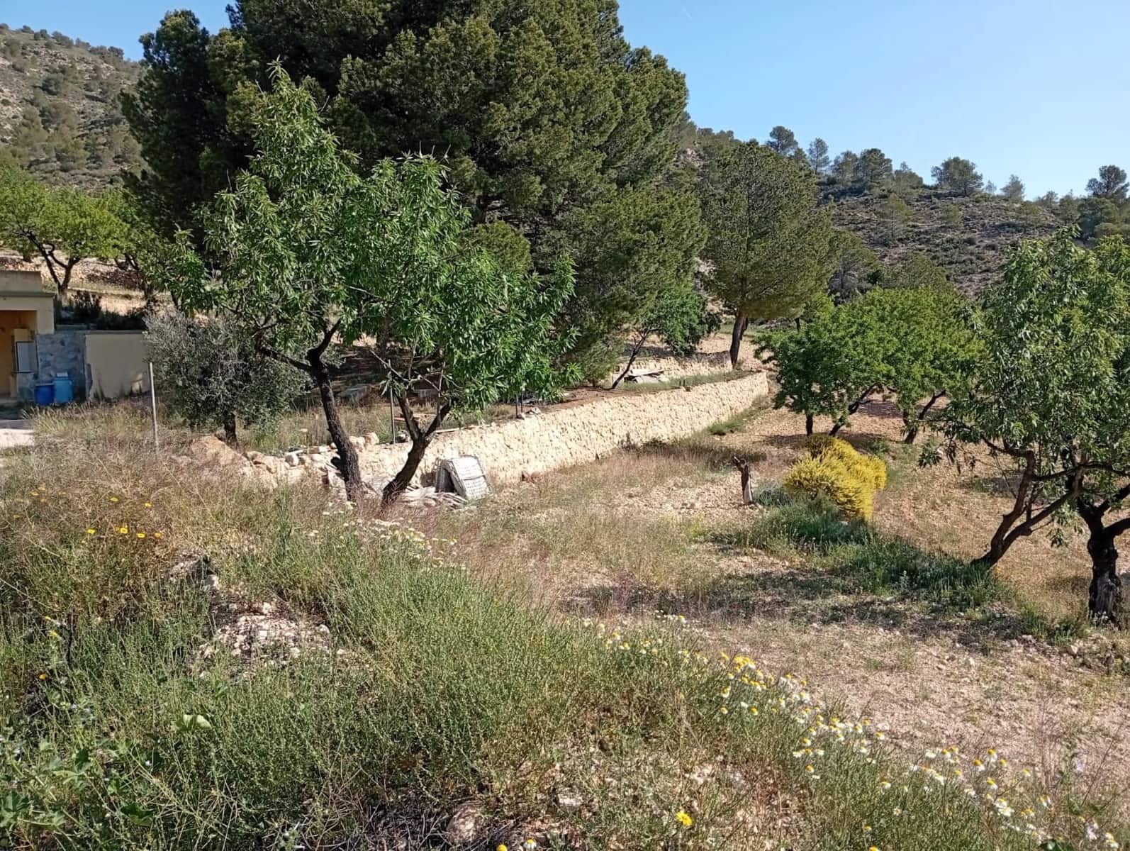 2 bedroom Cave House for sale in Salinas - € 119,995 (Ref: 9847660)