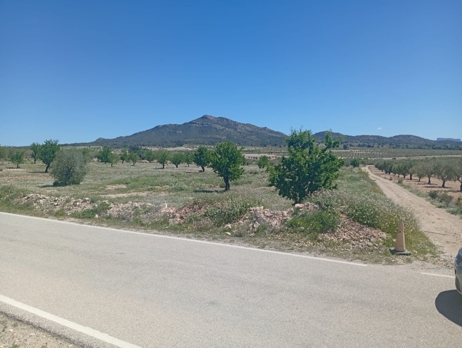Solar/Parcela en Salinas en venta - 45.000 € (Ref: 9847661)