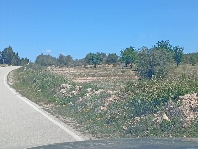 Solar/Parcela en Salinas en venta - 45.000 € (Ref: 9847661)
