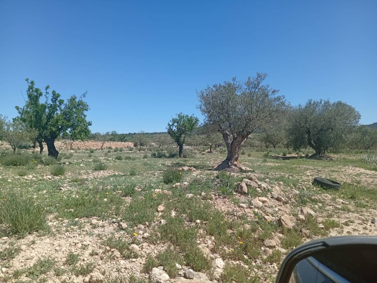 Solar/Parcela en Salinas en venta - 45.000 € (Ref: 9847661)