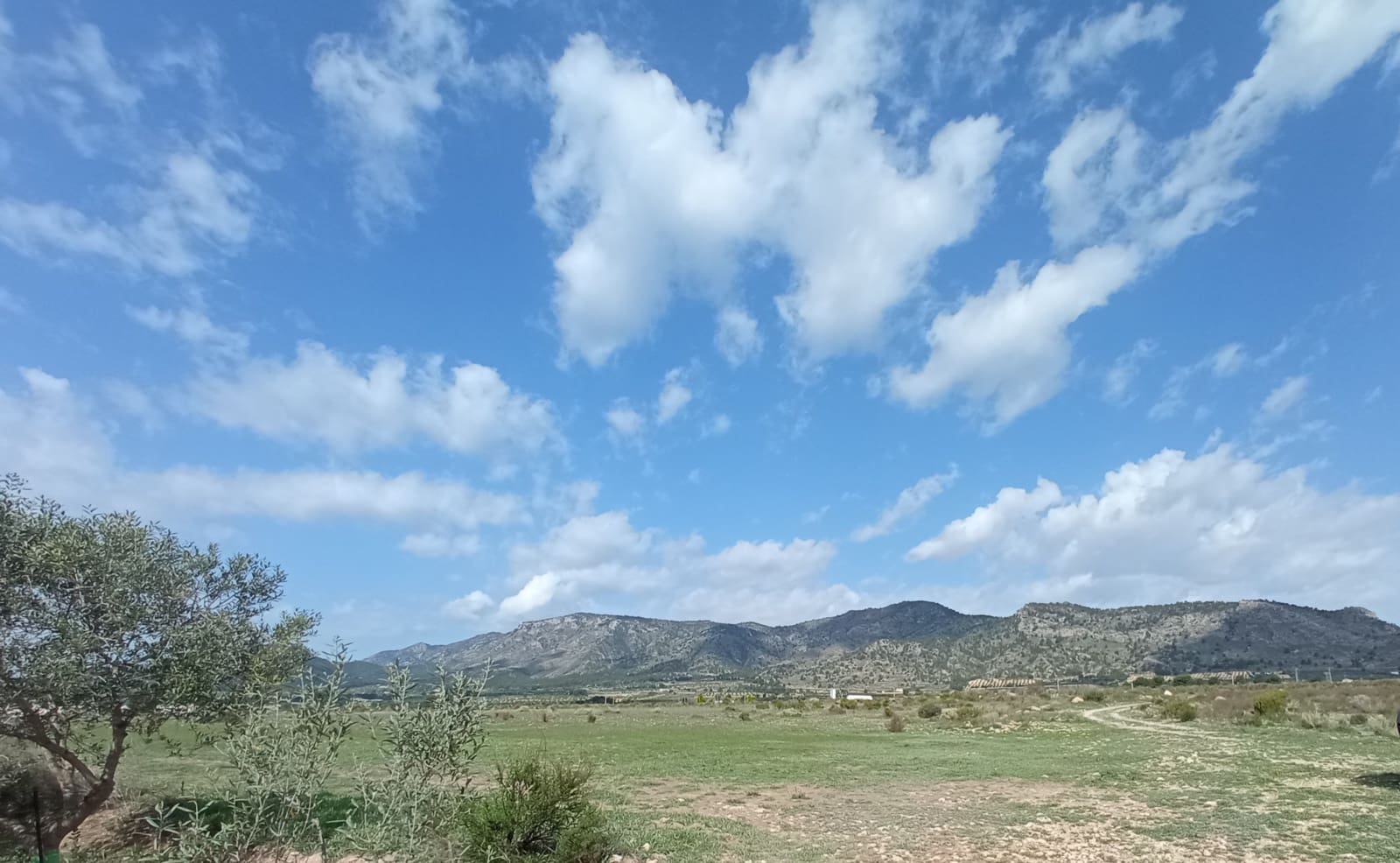 Solar/Parcela en Salinas en venta - 99.995 € (Ref: 9847666)