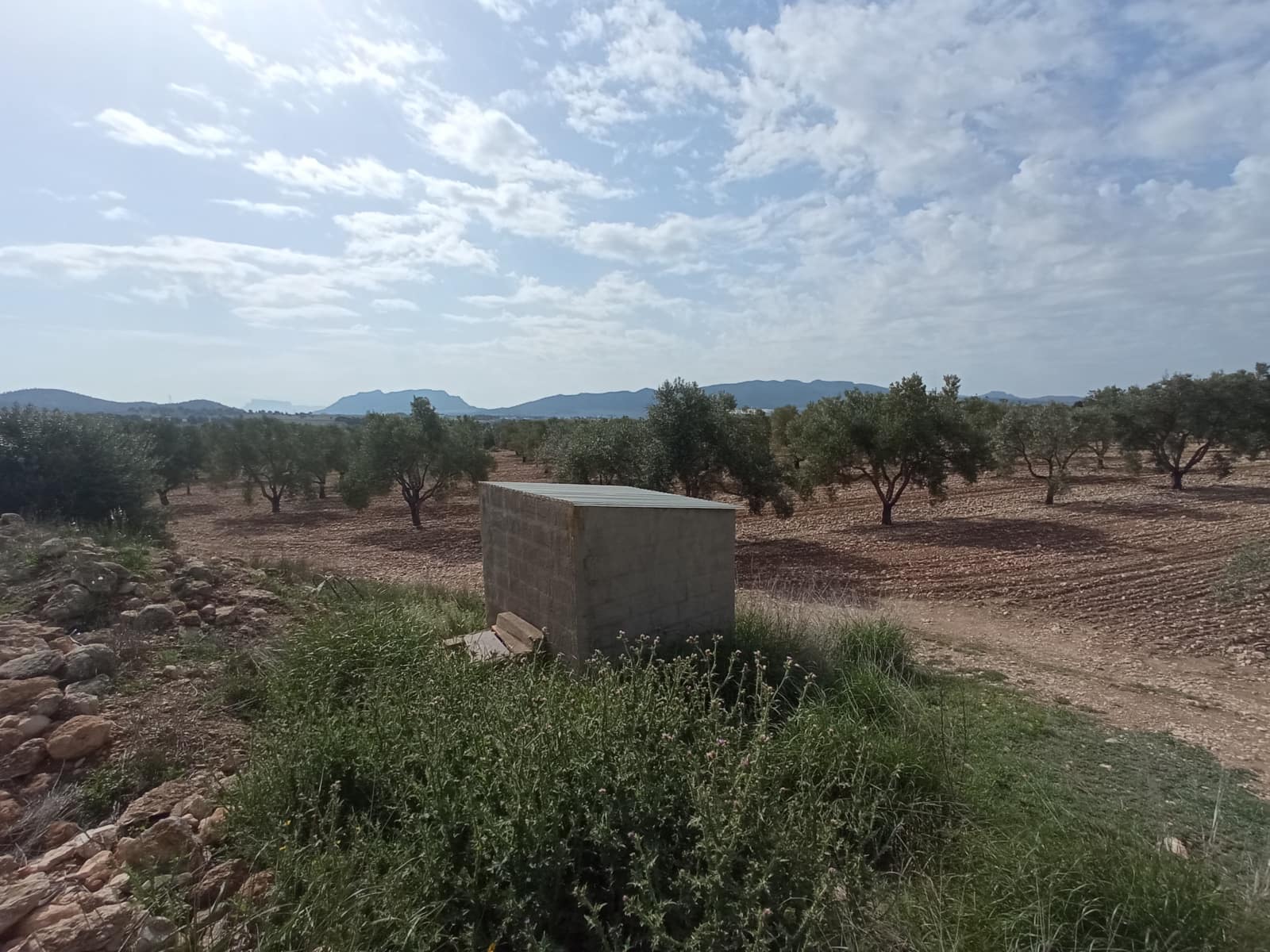 Solar/Parcela en Salinas en venta - 99.995 € (Ref: 9847666)