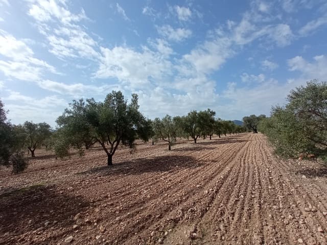 Solar/Parcela en Salinas en venta - 99.995 € (Ref: 9847666)