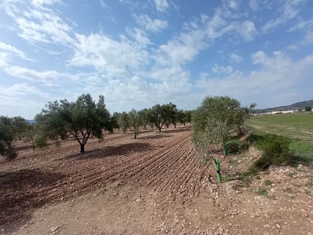 Solar/Parcela en Salinas en venta - 99.995 € (Ref: 9847666)