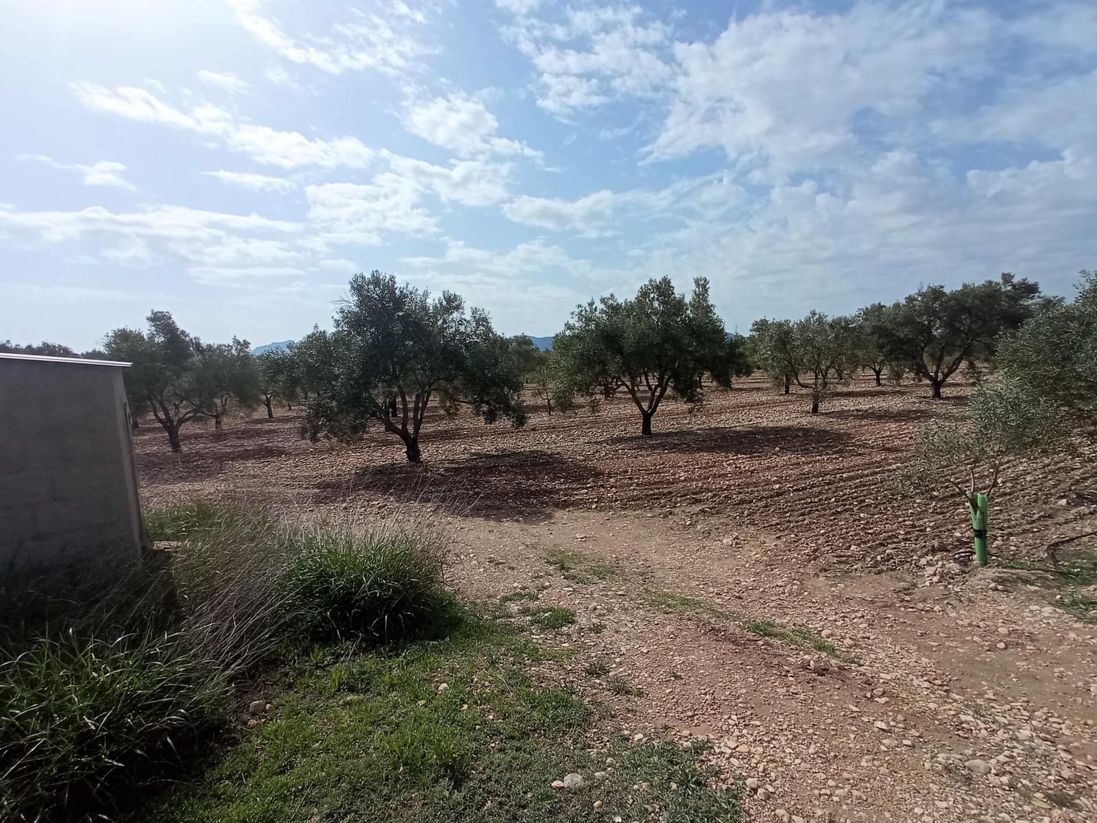 Solar/Parcela en Salinas en venta - 99.995 € (Ref: 9847666)