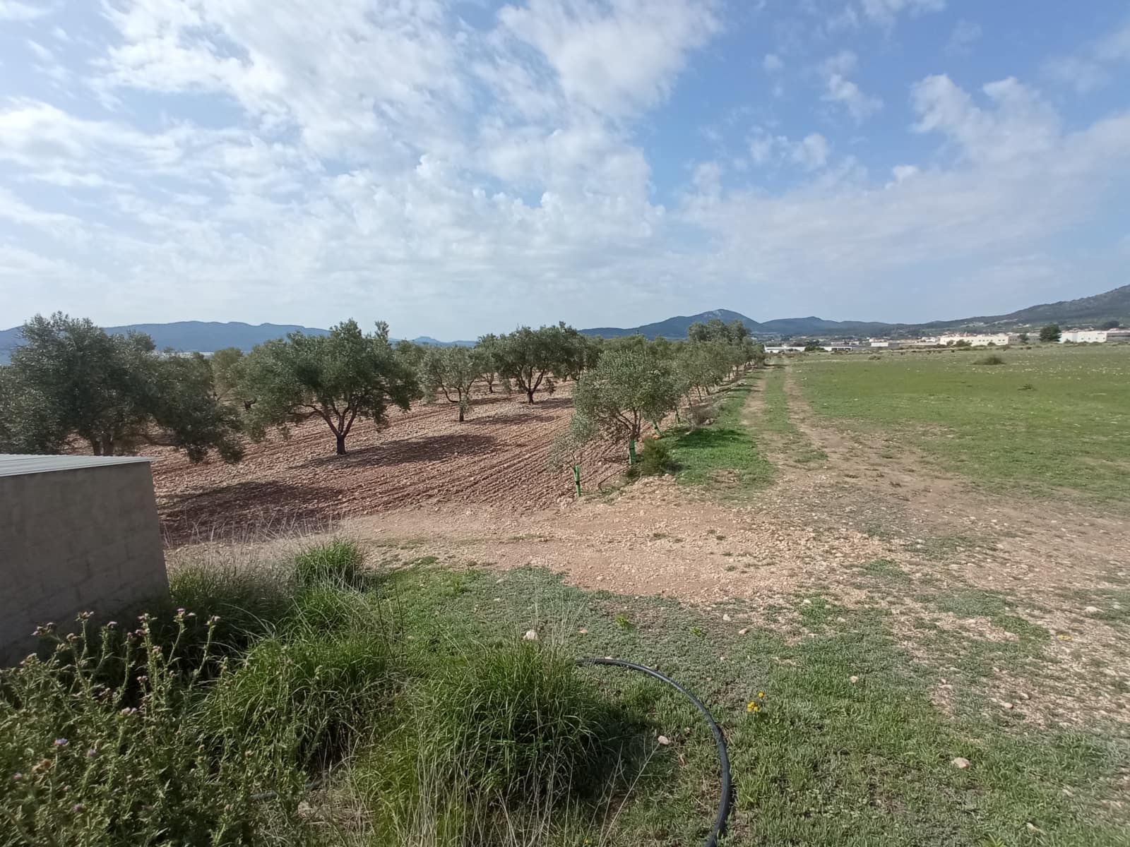Solar/Parcela en Salinas en venta - 99.995 € (Ref: 9847666)