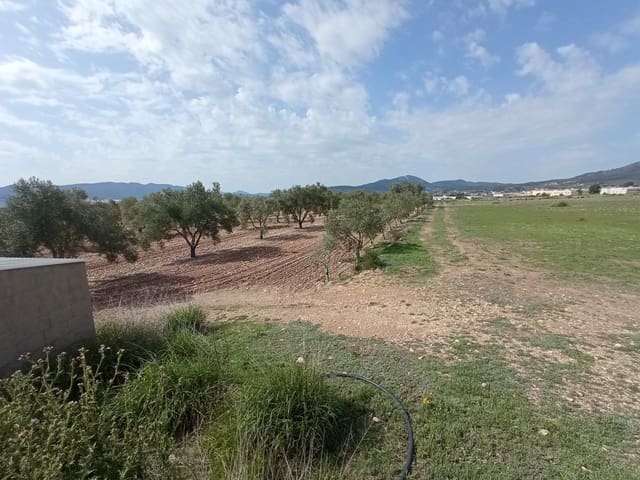 Solar/Parcela en Salinas en venta - 99.995 € (Ref: 9847666)