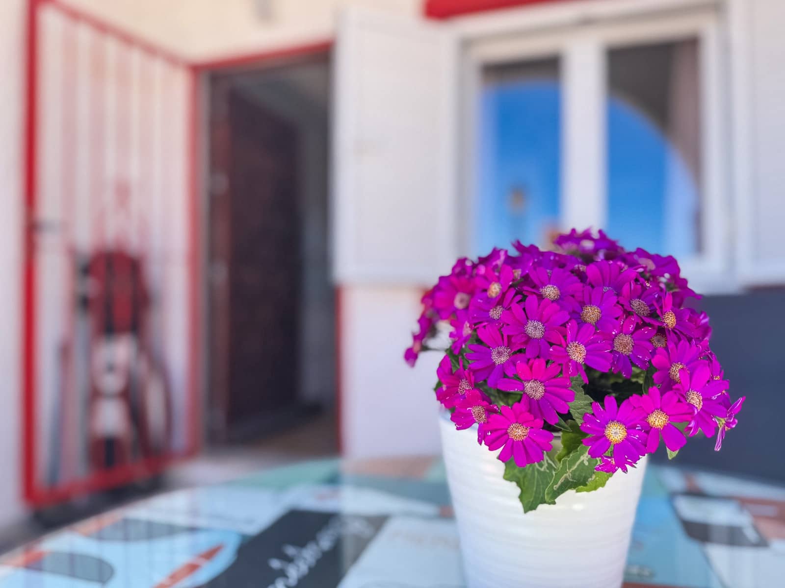 1 makuuhuone Huoneisto myytävänä paikassa Torrevieja - 132 000 € (Ref: 9858247)