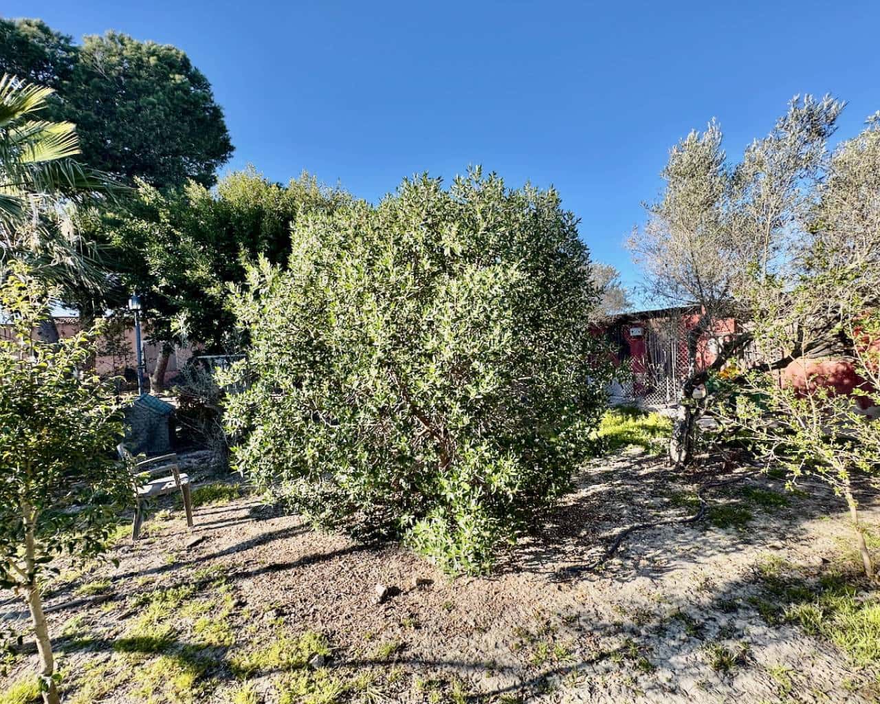 4 soverom Finca/Herregård til salgs i Guardamar del Segura med garasje - € 180 000 (Ref: 9885167)