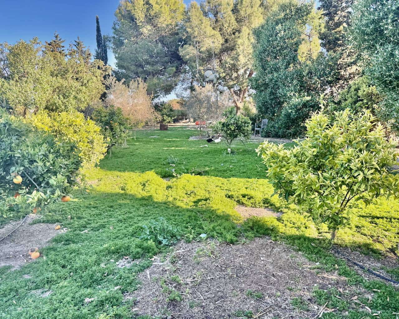 4 soverom Finca/Herregård til salgs i Guardamar del Segura med garasje - € 180 000 (Ref: 9885167)