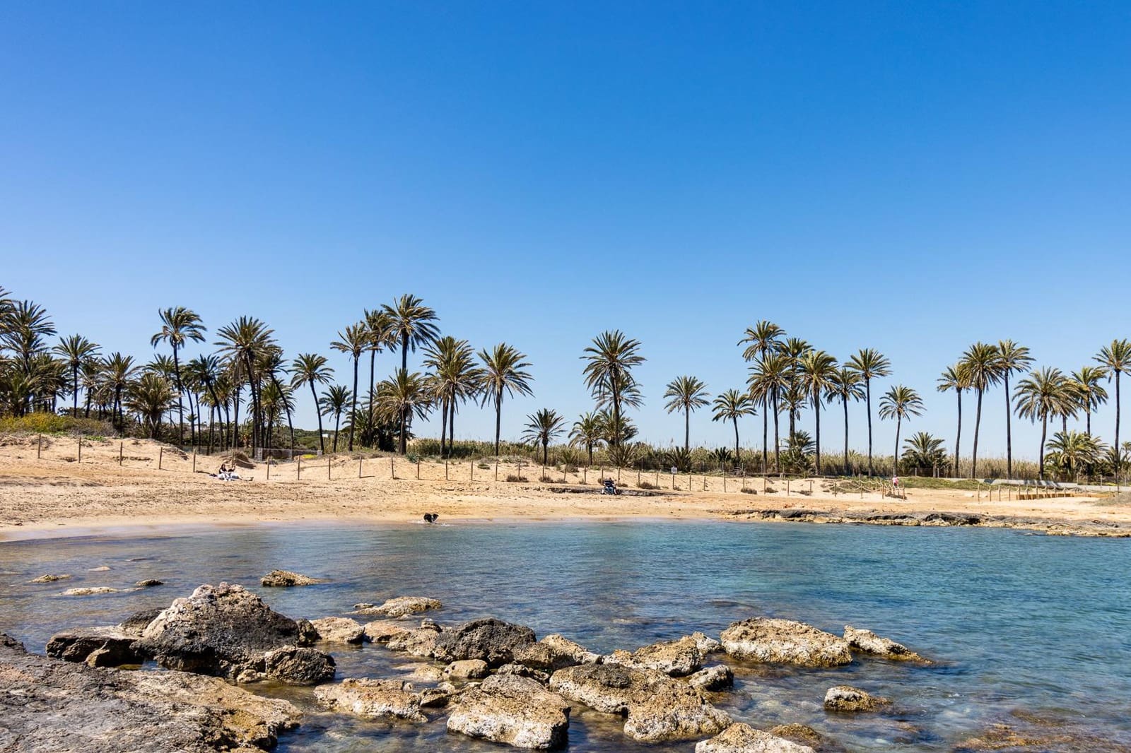 2 soveværelse Bungalow til salg i Torrevieja med swimmingpool - € 139.500 (Ref: 9892623)