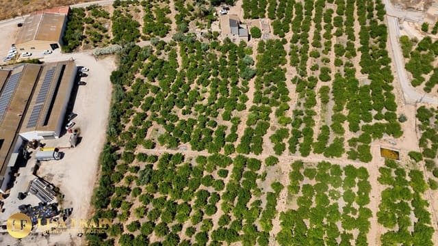 Finca/Casa Rural de 4 habitaciones en Orihuela en venta - 599.000 € (Ref: 9973666)