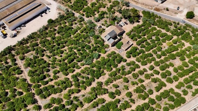 Finca/Casa Rural de 4 habitaciones en Orihuela en venta - 599.000 € (Ref: 9973666)