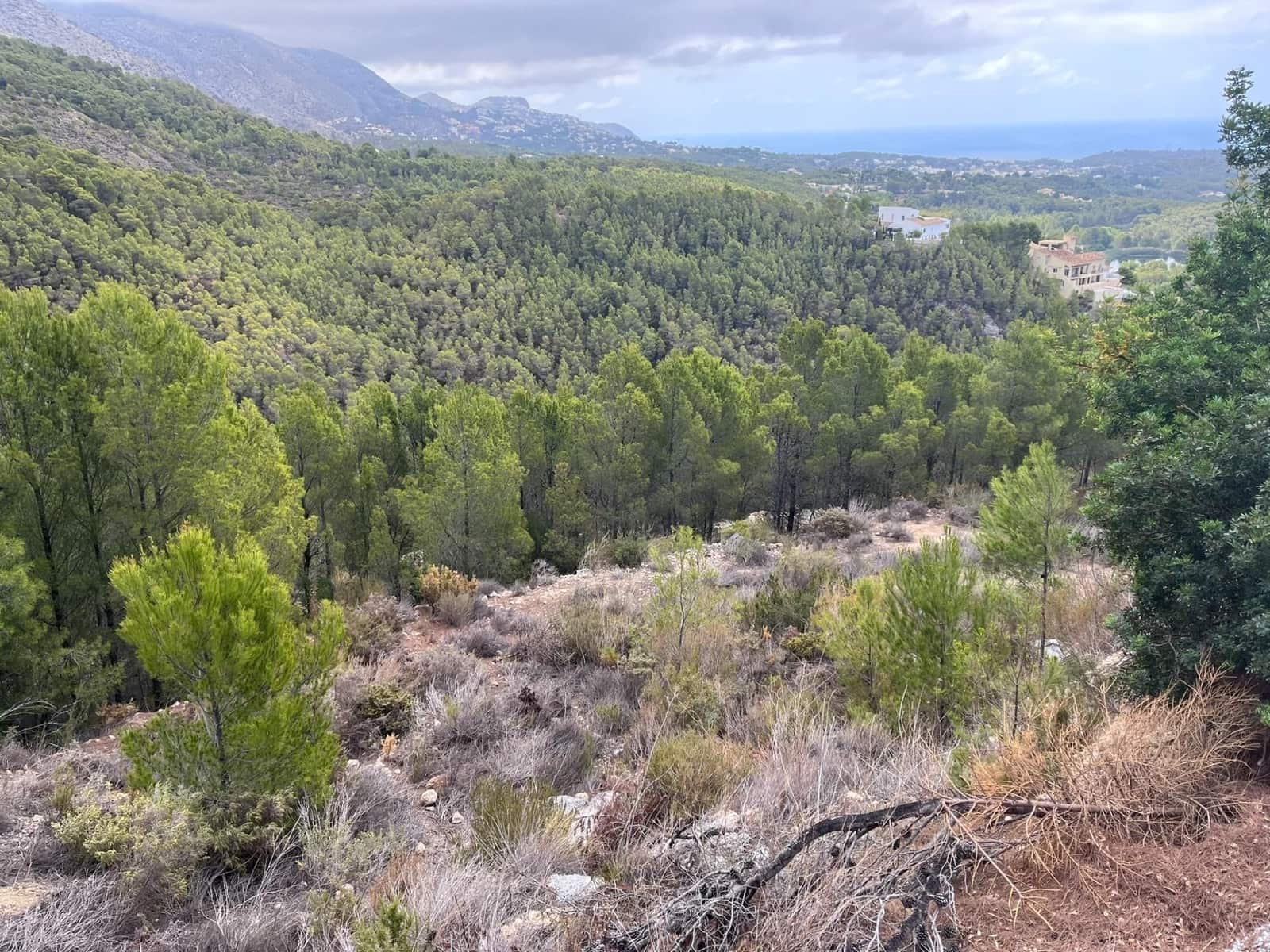 Terrain à Bâtir à vendre à Callosa d'En Sarria - 190 000 € (Ref: 8614949)