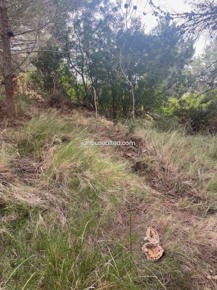 Undeveloped Land for sale in Altea - € 144,000 (Ref: 9491083)