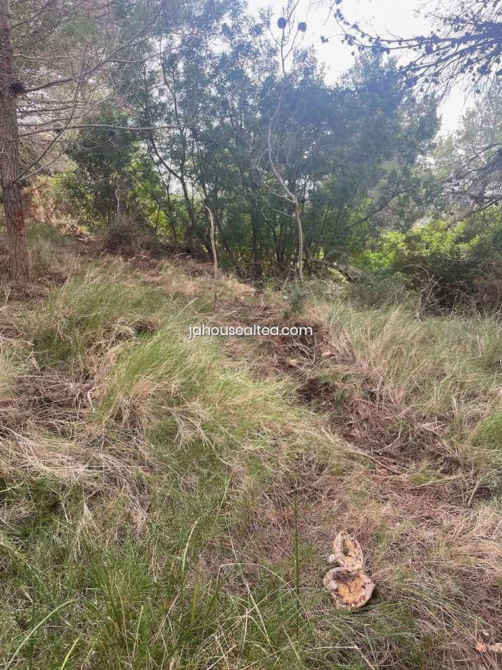 Undeveloped Land for sale in Altea - € 144,000 (Ref: 9491083)
