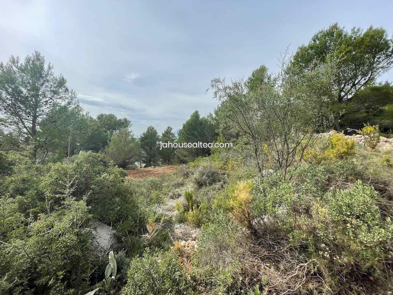 Undeveloped Land for sale in Altea - € 144,000 (Ref: 9491083)