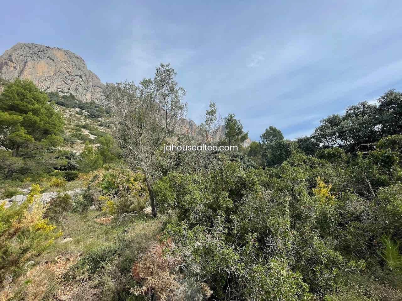 Undeveloped Land for sale in Altea - € 144,000 (Ref: 9491083)