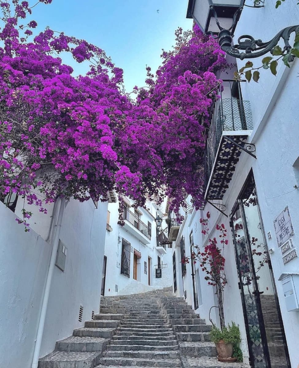 3 makuuhuone Kattohuoneisto vuokrattavana paikassa Altea mukana 
autotalli - 2 000 € (Ref: 9540764)