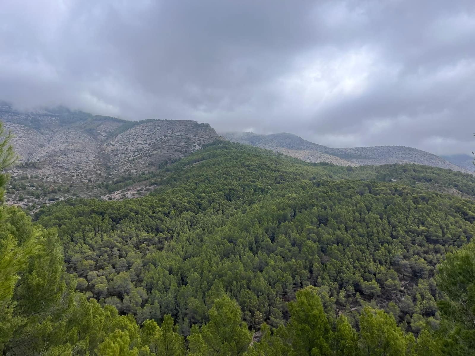 Terreno para Construção para venda em Callosa d'En Sarria - 199 000 € (Ref: 9893688)