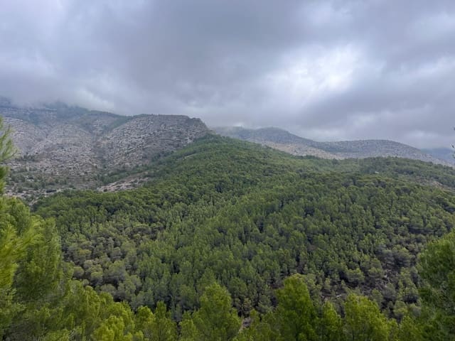Byggetomt til salgs i Callosa d'En Sarrià - € 199 000 (Ref: 9893688)
