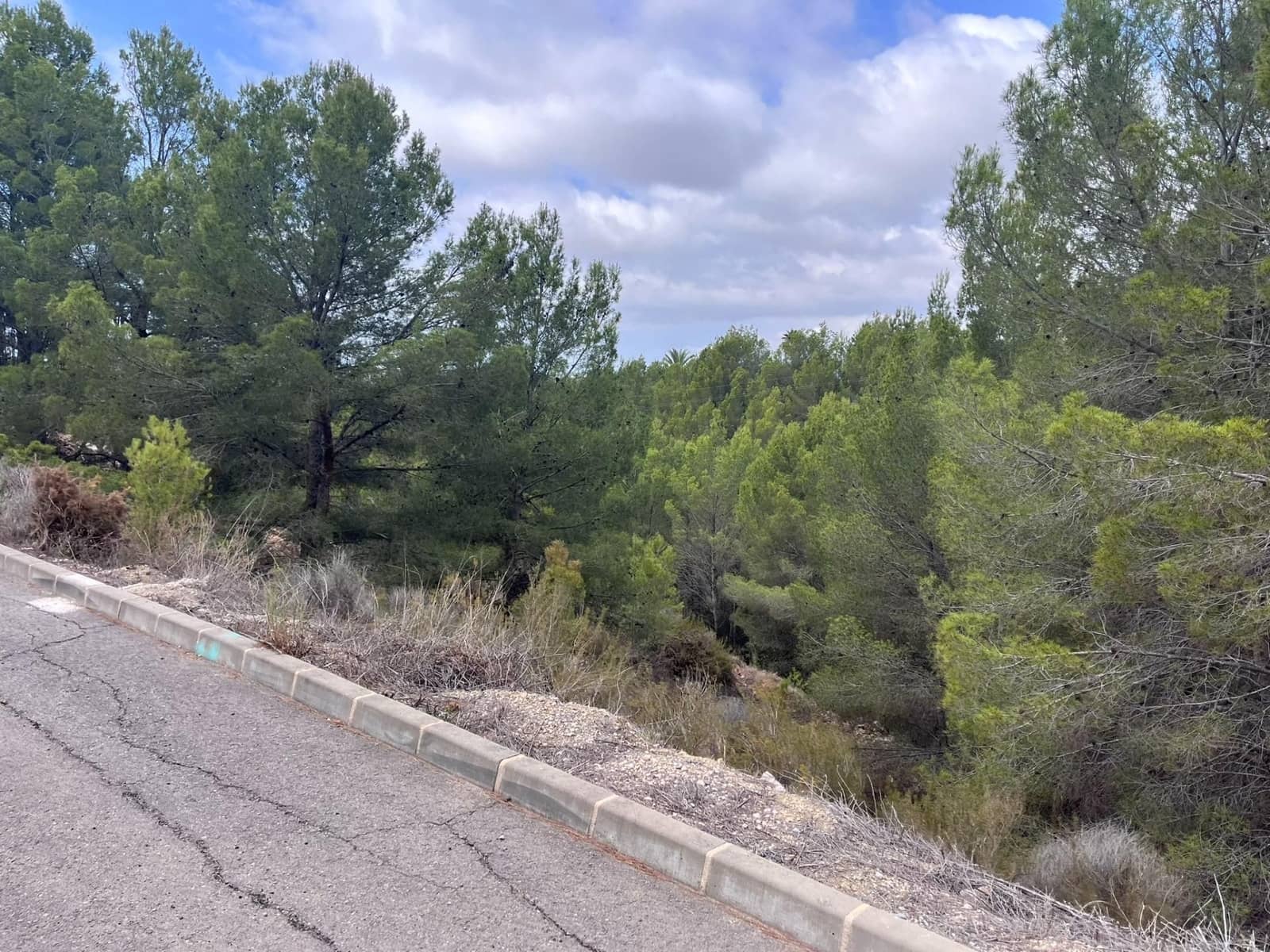Terreno para Construção para venda em Callosa d'En Sarria - 199 000 € (Ref: 9893688)
