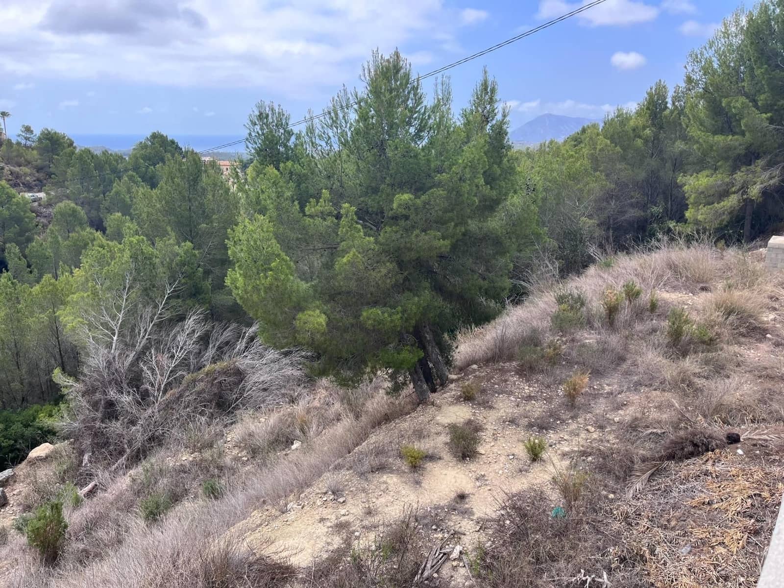 Terreno para Construção para venda em Callosa d'En Sarria - 199 000 € (Ref: 9893688)