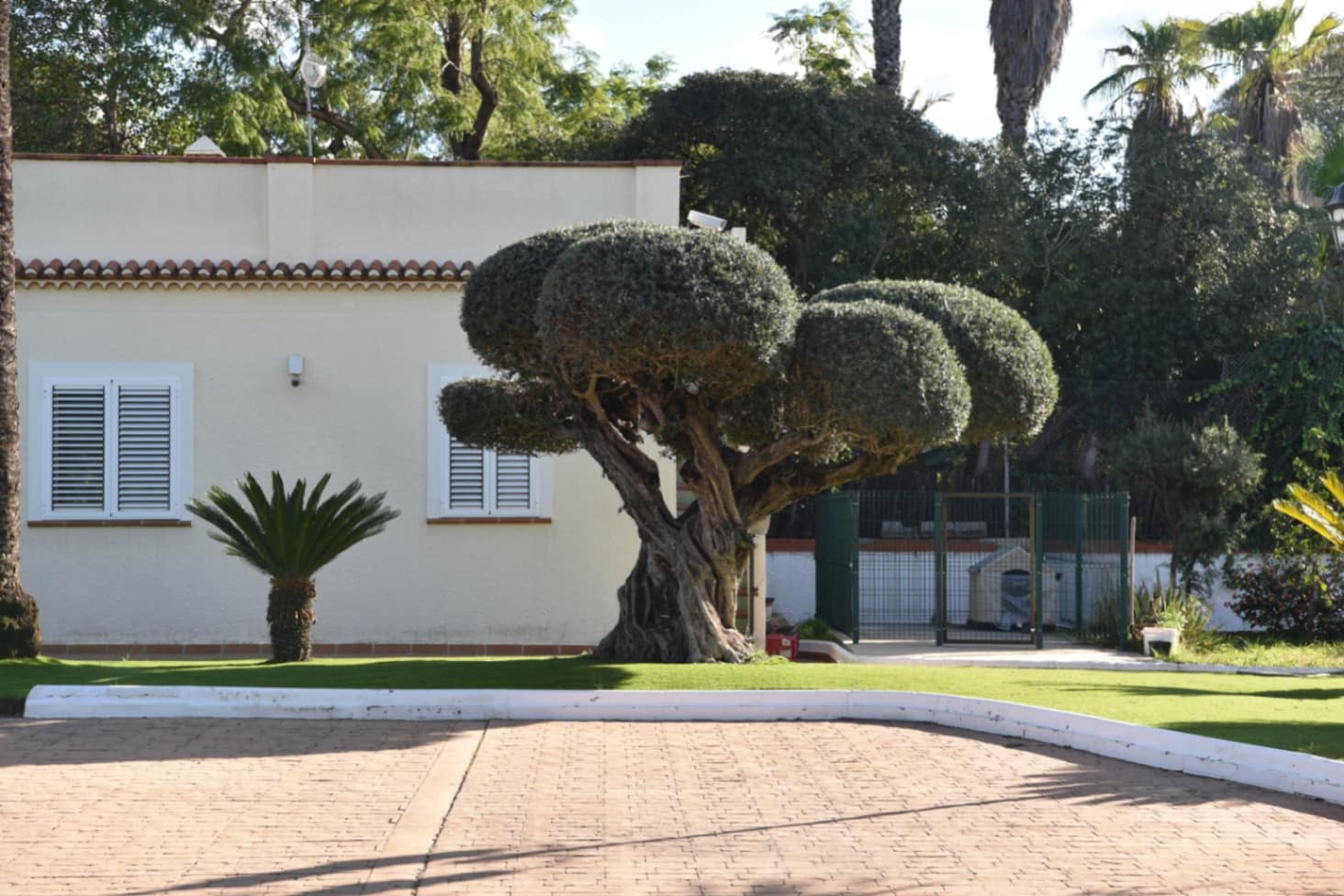 Chalet de 6 habitaciones en Alzira en venta con piscina garaje - 1.100.000 € (Ref: 8803274)