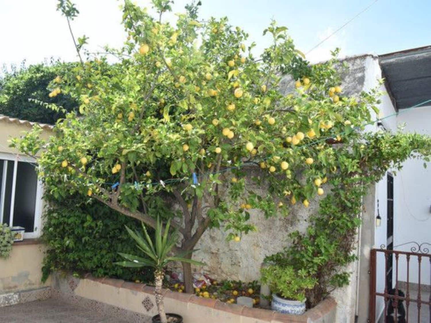 4 soveværelse Finca/Landehus til salg i El Burgo med garage - € 450.000 (Ref: 6311569)