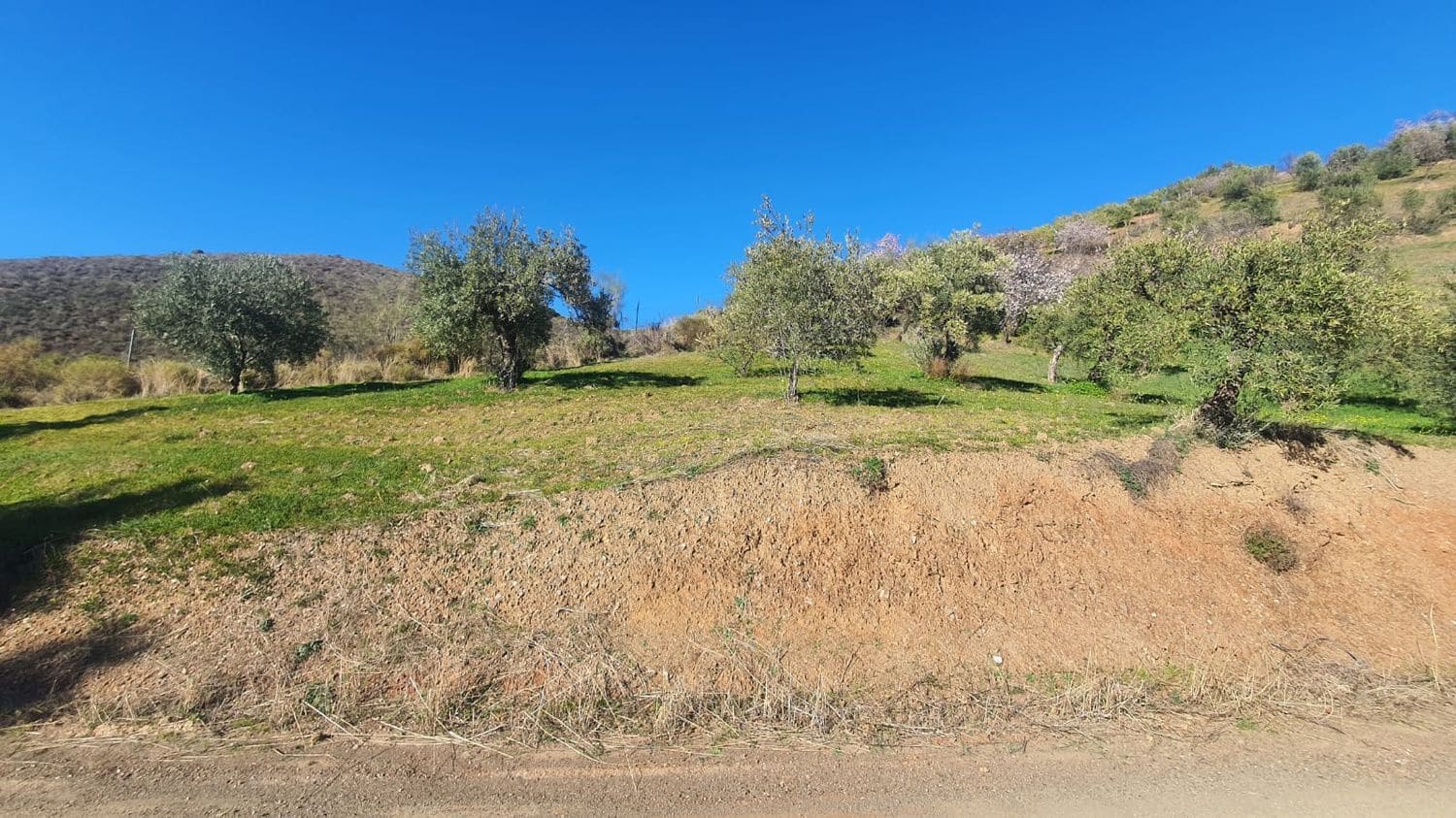 Ubebygd land til salgs i Alozaina - € 30 000 (Ref: 7381609)