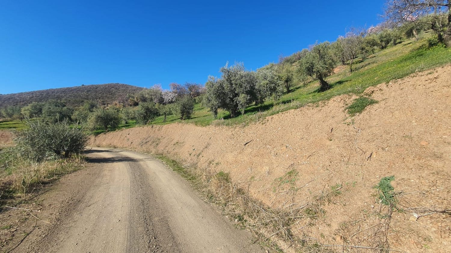 Ubebygd land til salgs i Alozaina - € 30 000 (Ref: 7381609)