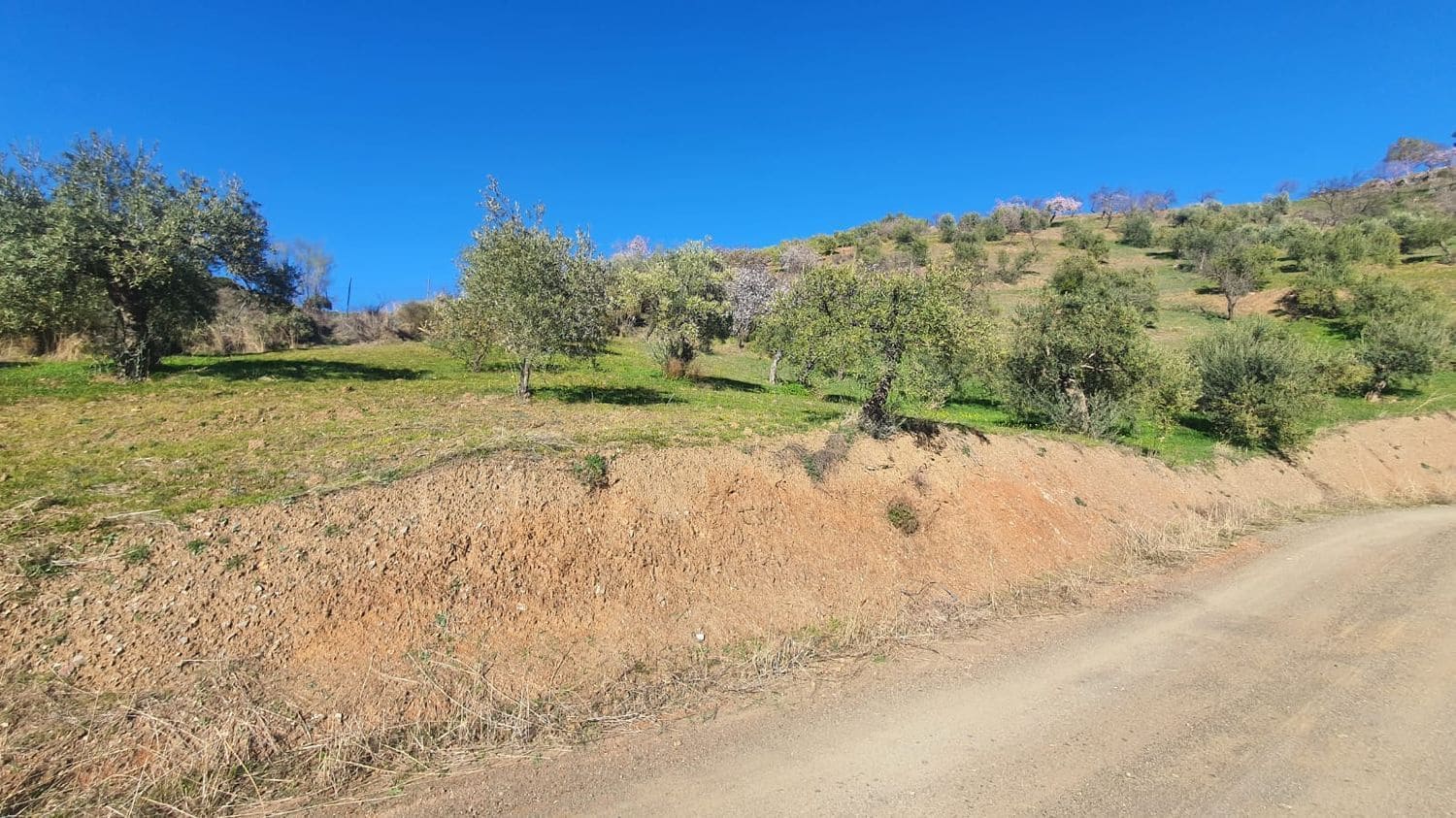 Ubebygd land til salgs i Alozaina - € 30 000 (Ref: 7381609)