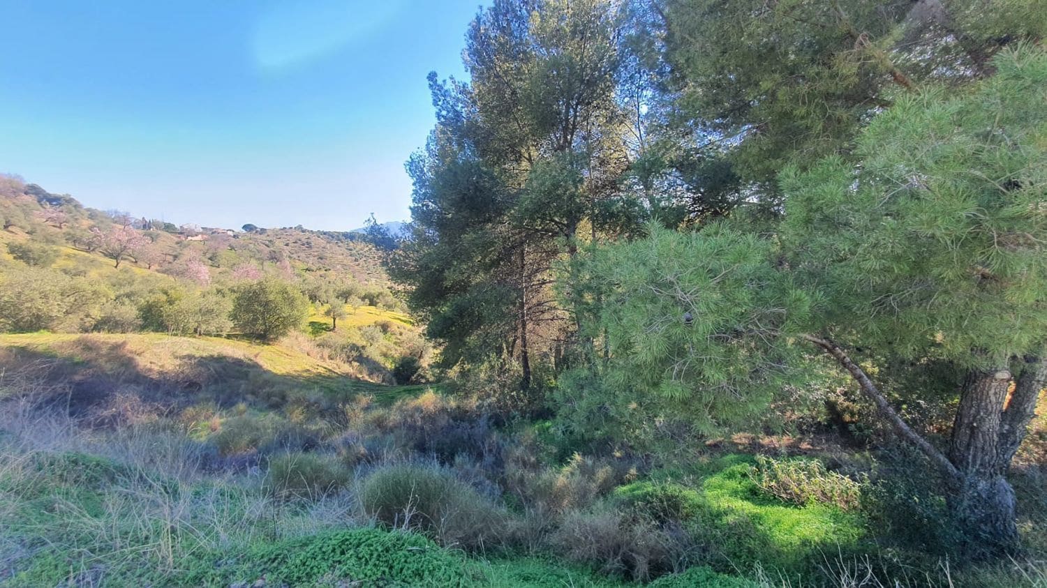 Ubebygd land til salgs i Alozaina - € 30 000 (Ref: 7381609)