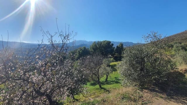 Mark till salu i Alozaina - 30 000 € (Ref: 7381609)