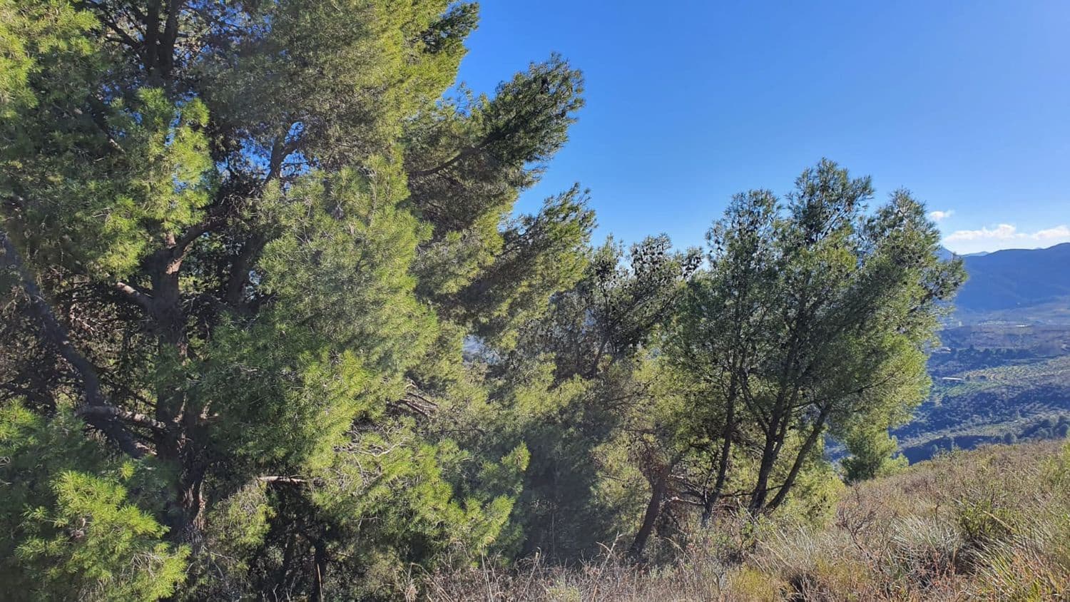 Ubebygd land til salgs i Alozaina - € 30 000 (Ref: 7381609)