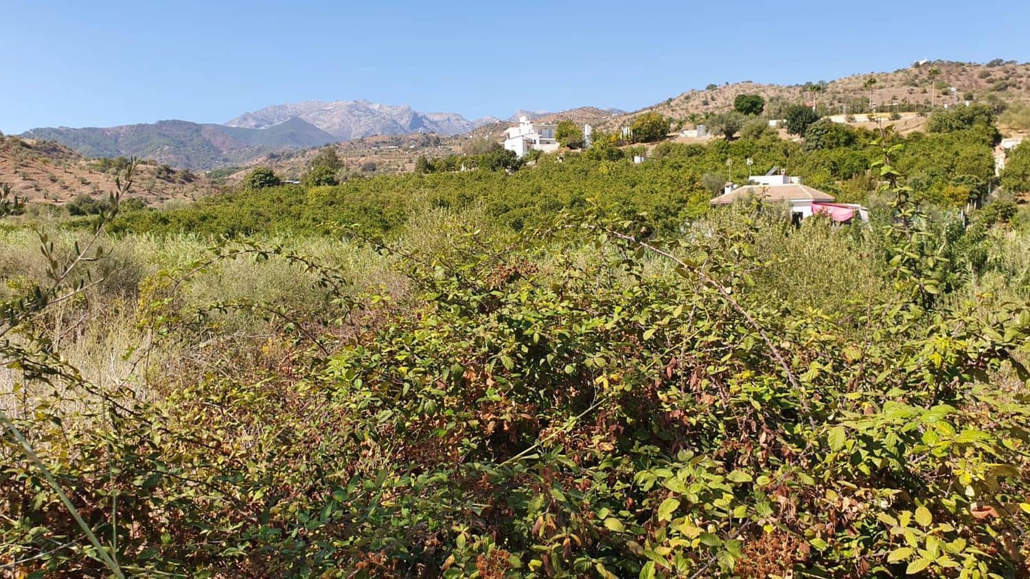 Quinta/Casa Rural para venda em Tolox - 218 750 € (Ref: 7899838)