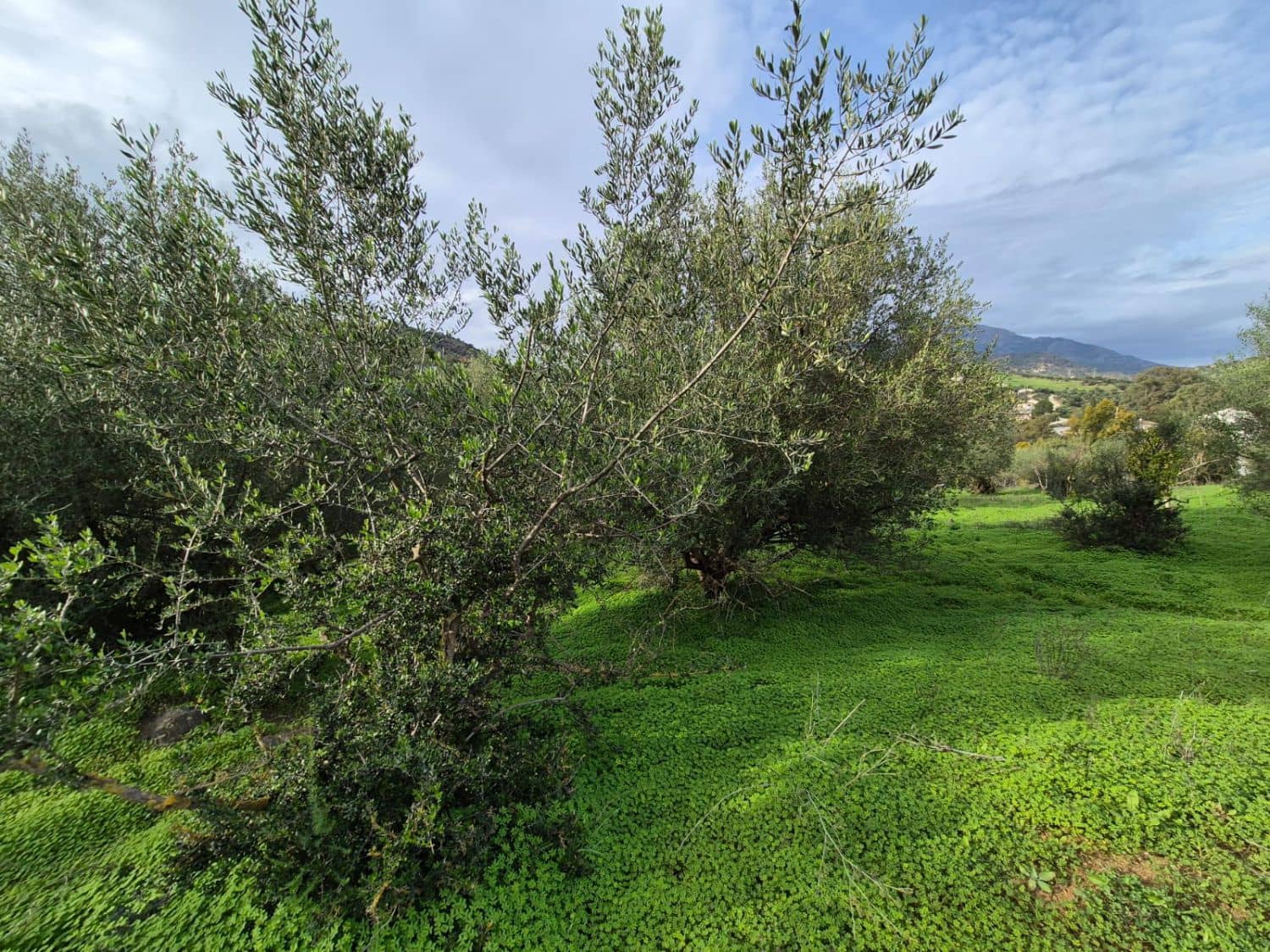 Quinta/Casa Rural para venda em Tolox - 218 750 € (Ref: 7899838)