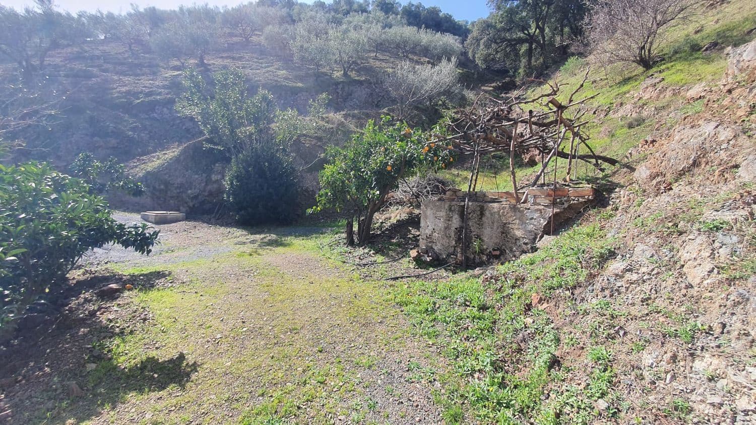 Ubebygd land til salgs i Monda - € 175 000 (Ref: 7928858)