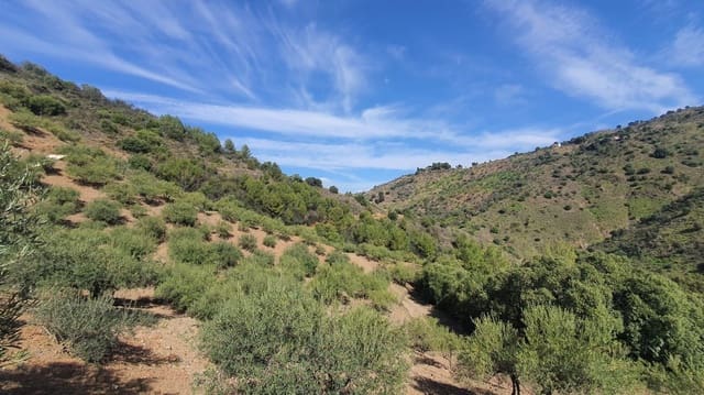 Mark till salu i Monda - 175 000 € (Ref: 7928858)