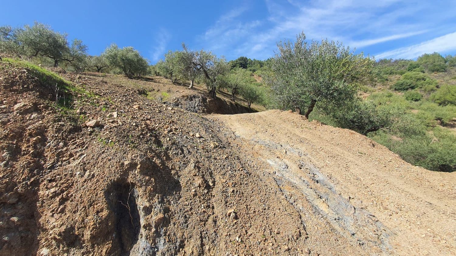 Ubebygd land til salgs i Monda - € 175 000 (Ref: 7928858)