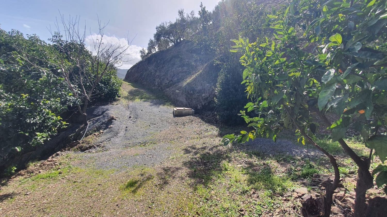 Ubebygd land til salgs i Monda - € 175 000 (Ref: 7928858)