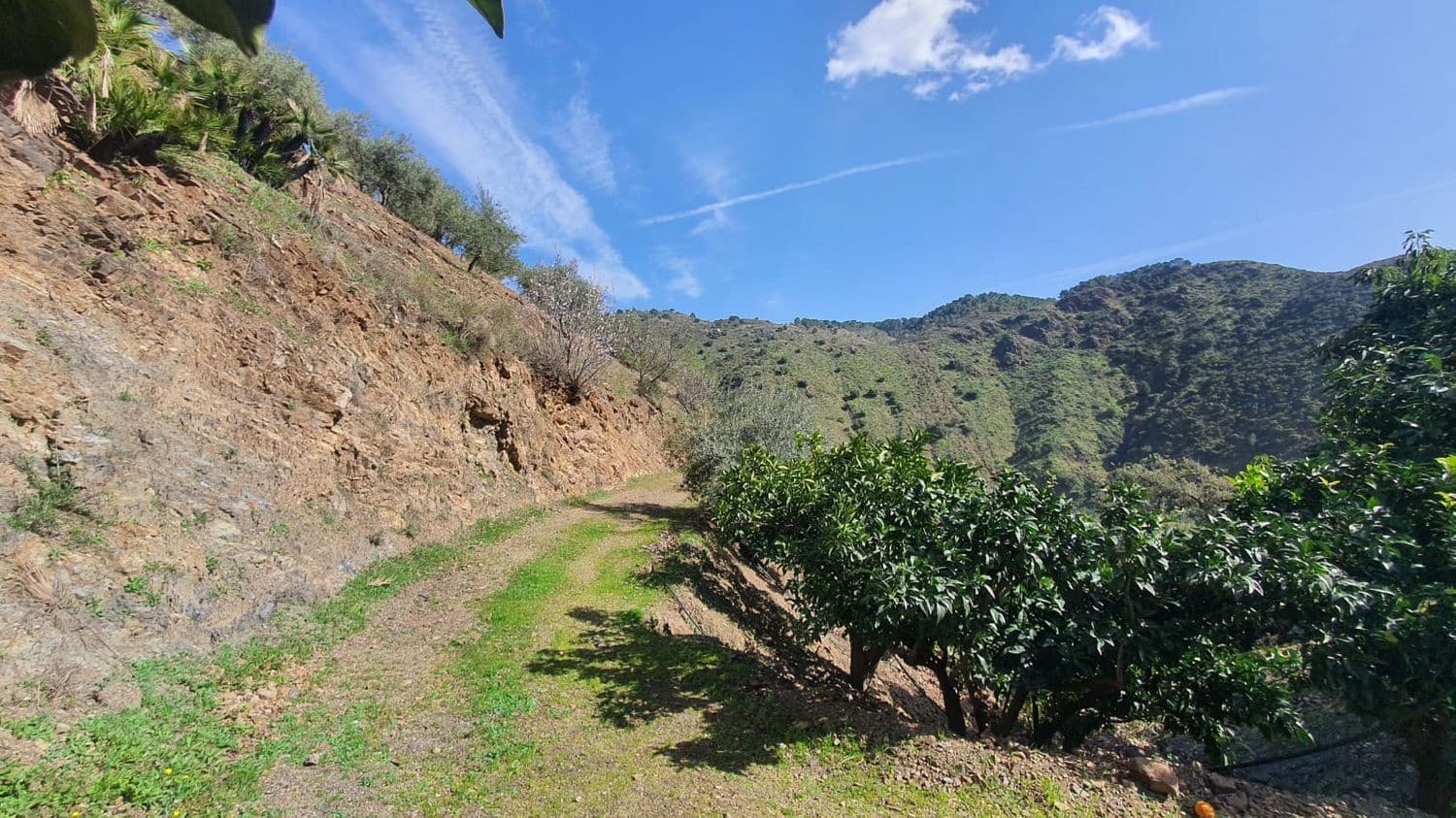 Ubebygd land til salgs i Monda - € 175 000 (Ref: 7928858)