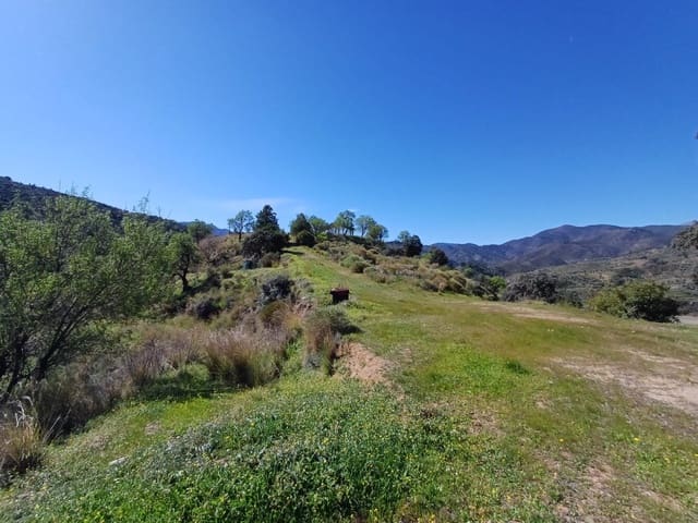 Undeveloped Land for sale in Monda - € 240,000 (Ref: 8430335)