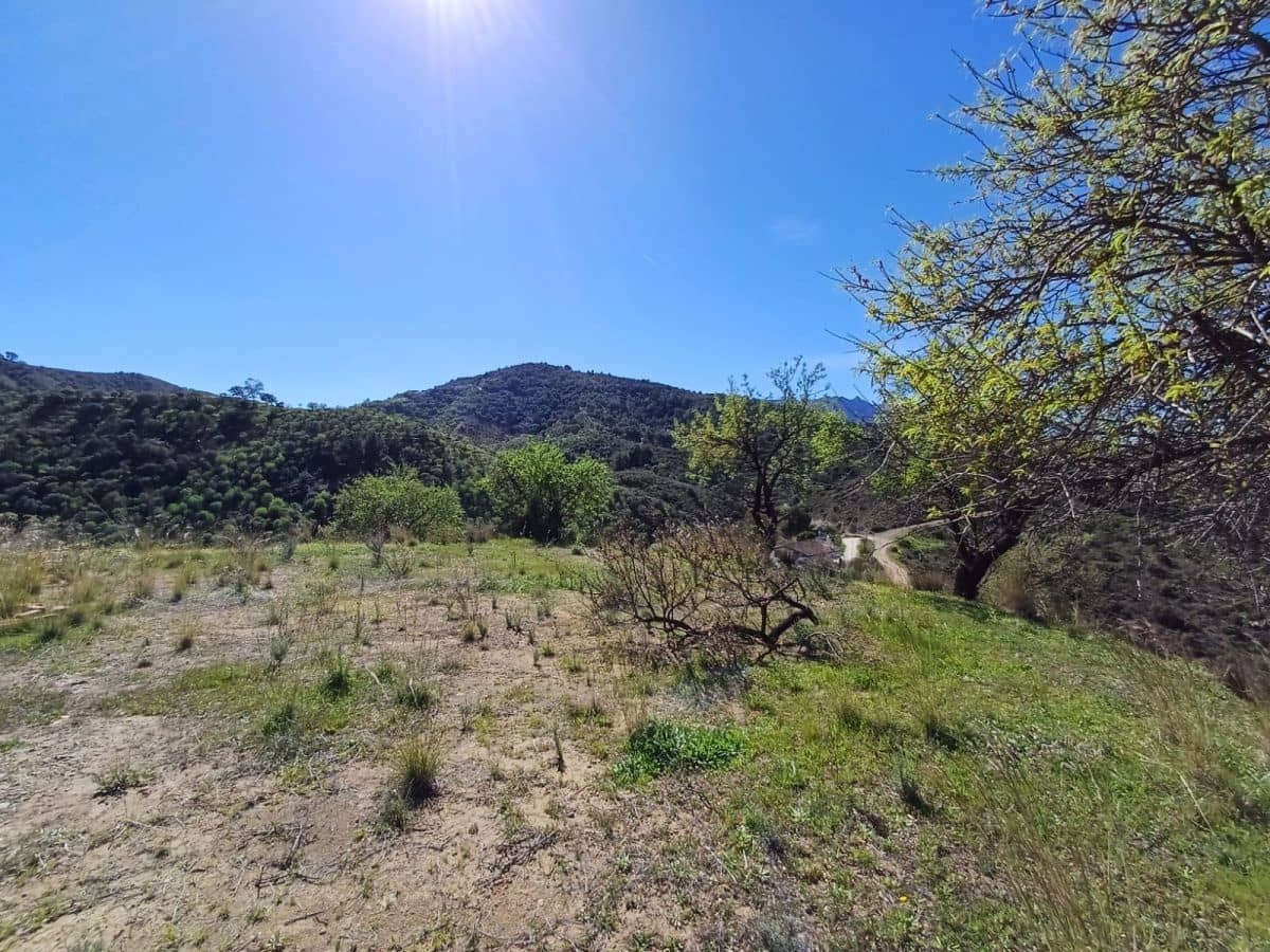 Grunde uden byggetilladelser til salg i Monda - € 240.000 (Ref: 8430335)