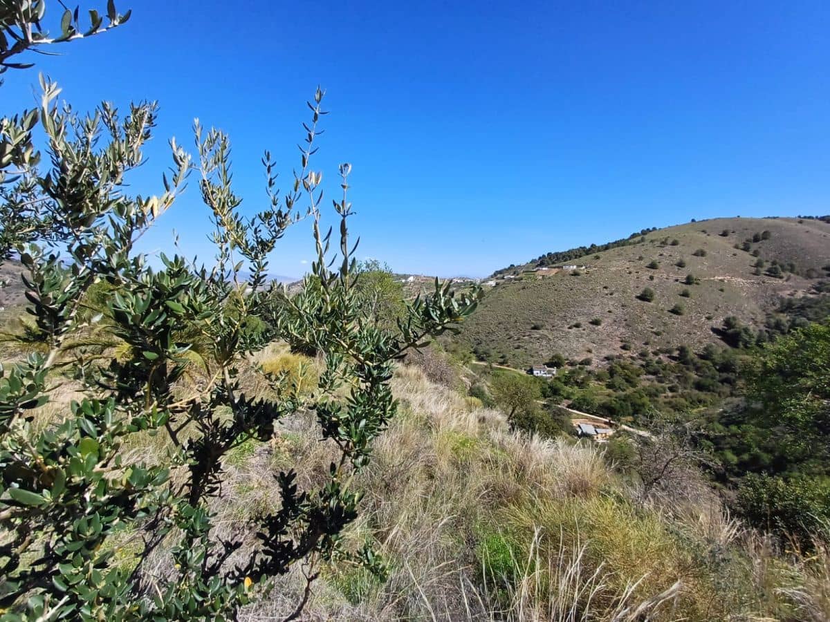 Grunde uden byggetilladelser til salg i Monda - € 240.000 (Ref: 8430335)