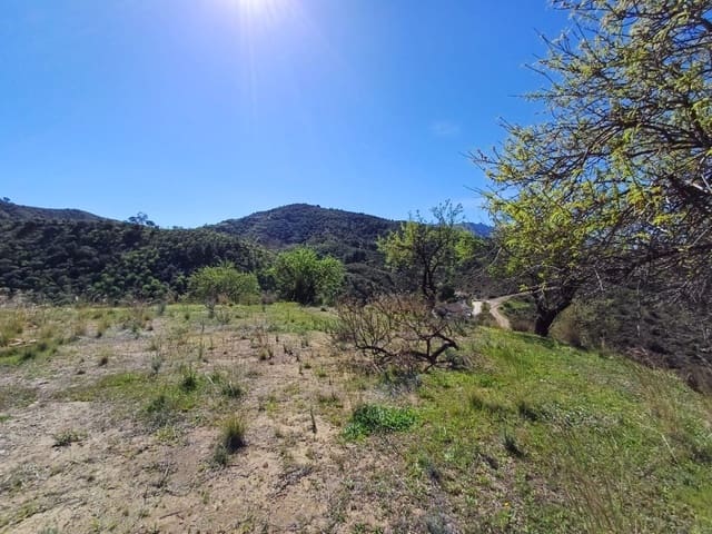 Undeveloped Land for sale in Monda - € 240,000 (Ref: 8430335)