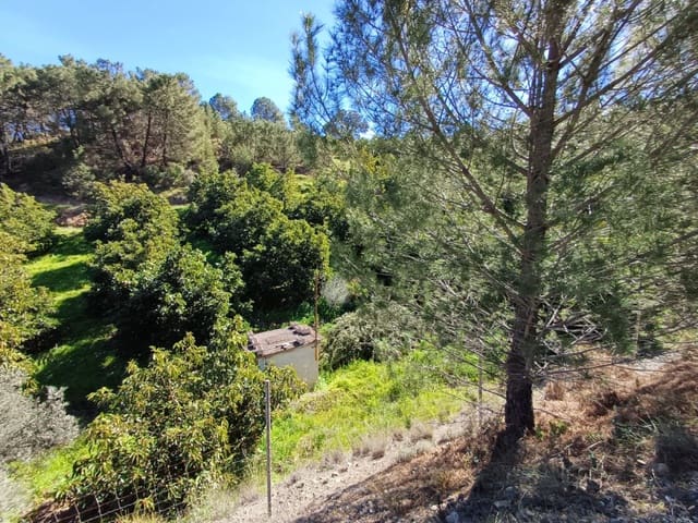 Undeveloped Land for sale in Monda - € 240,000 (Ref: 8430335)