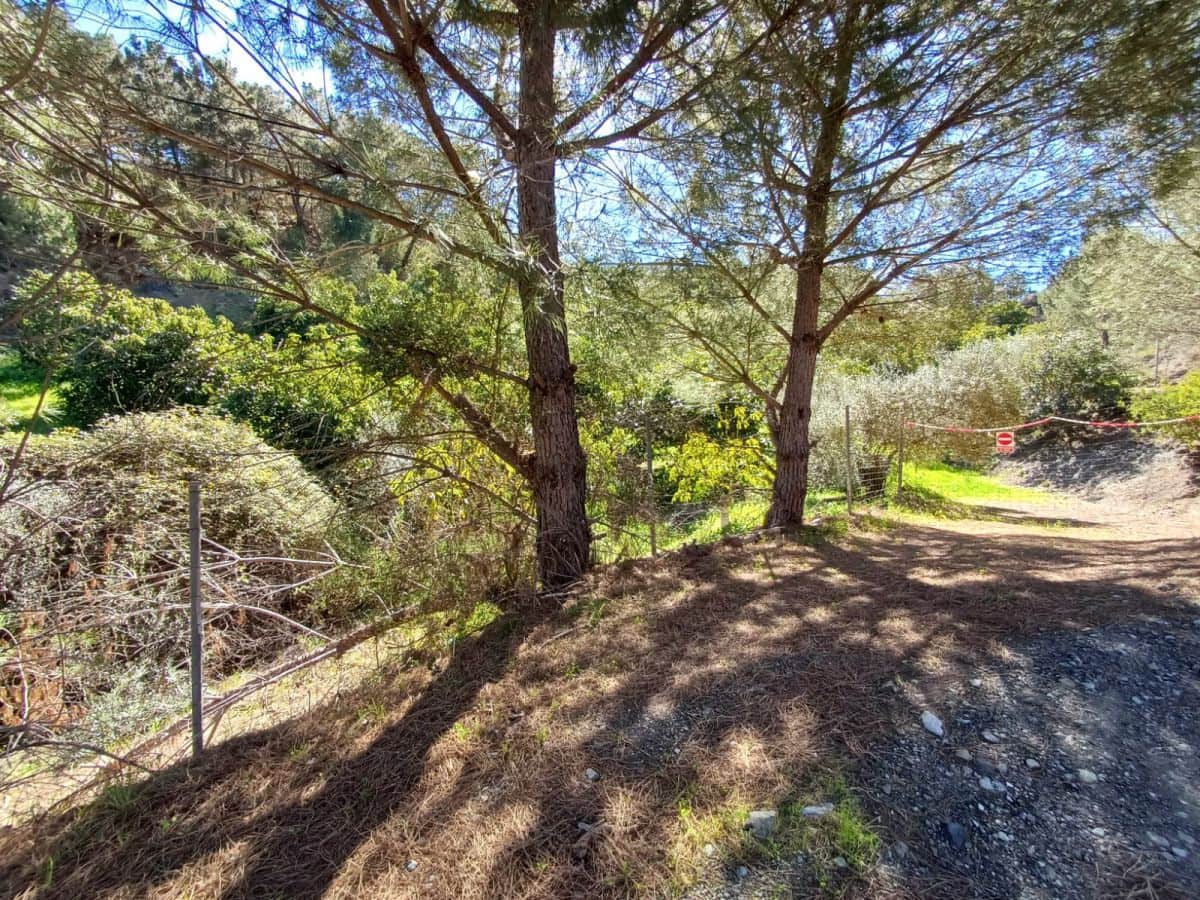 Grunde uden byggetilladelser til salg i Monda - € 240.000 (Ref: 8430335)