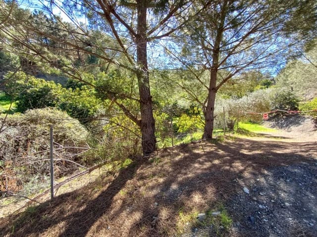 Undeveloped Land for sale in Monda - € 240,000 (Ref: 8430335)